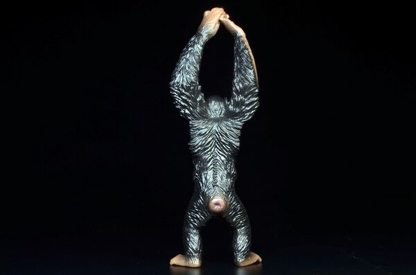 ToyMany Chimpanzee 2.jpg