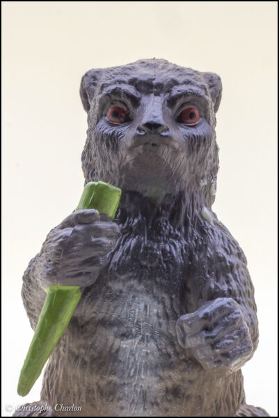 File:ToyMany Eastern lesser bamboo lemur 7.jpg