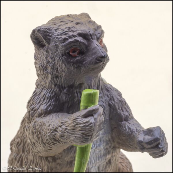 File:ToyMany Eastern lesser bamboo lemur 8.jpg