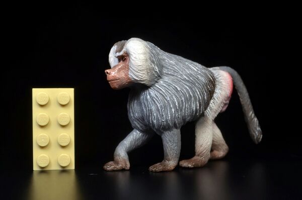 ToyMany Hamadryas Baboon 1.jpg