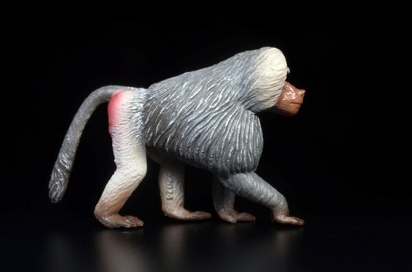 ToyMany Hamadryas Baboon 2.jpg