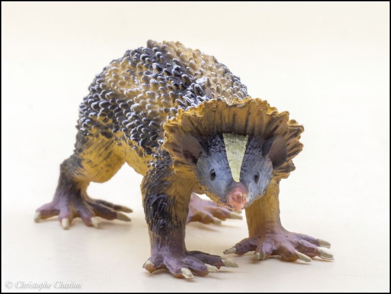 File:ToyMany Lowland streaked tenrec 5.jpg