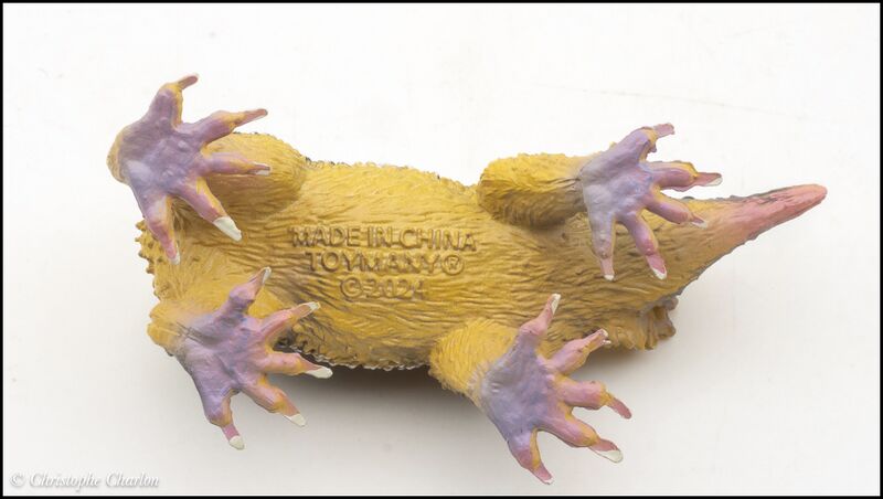 File:ToyMany Lowland streaked tenrec 6.jpg