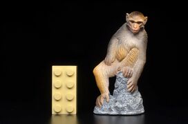 ToyMany Macaque