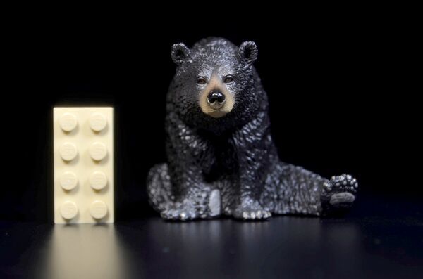 ToyMany North America's Black bear sitting 1.jpg