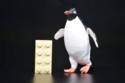 Adelie penguin