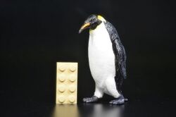 Emperor penguin