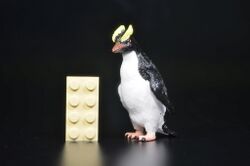 Erect-crested penguin