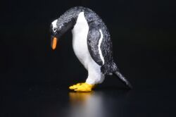 Gentoo penguin