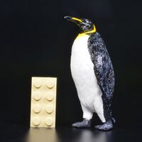 King penguin