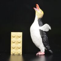 Yellow-Eyed penguin