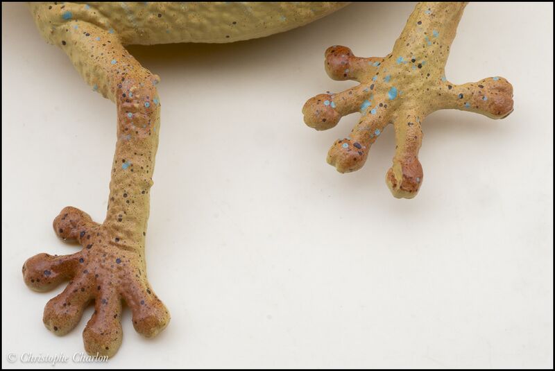 File:ToyMany Satanic leaf-tailed gecko 9.jpg