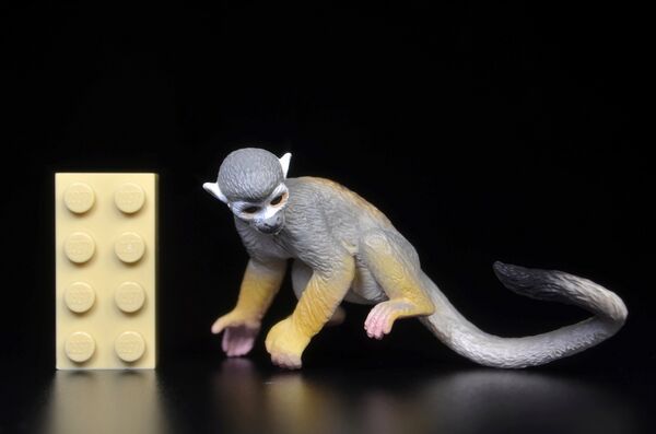 ToyMany Squirrel Monkey 1.jpg