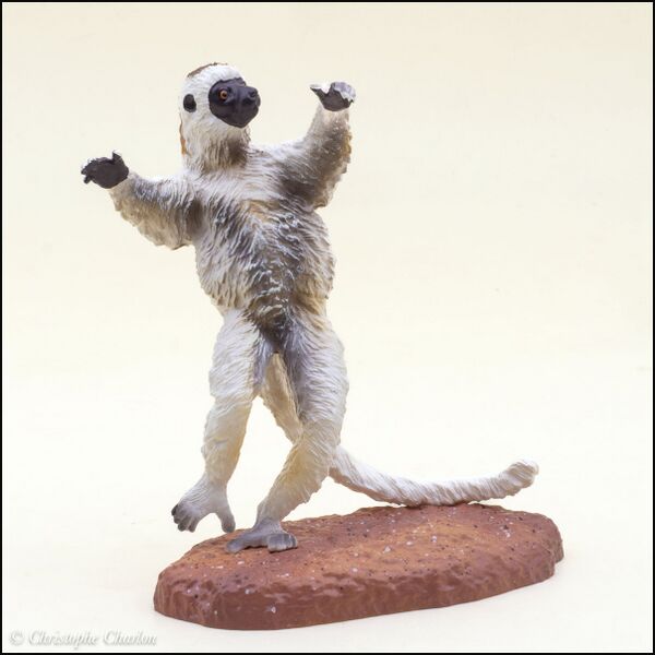 File:ToyMany Verreaux's sifaka 2.jpg