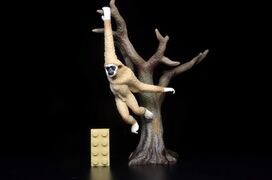 ToyMany White-handed Gibbon