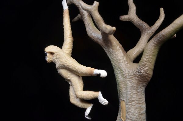 ToyMany White-handed Gibbon 2.jpg