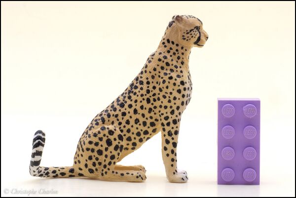 ToyMany sitting female Cheetah 1.jpg