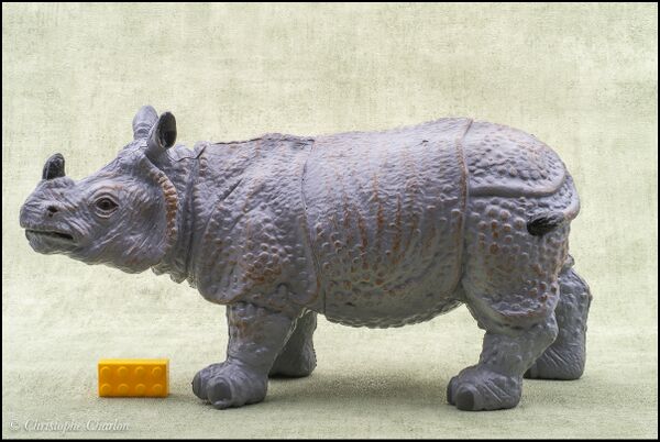 Toy Major 1994 Big Indian rhinoceros 1.jpg