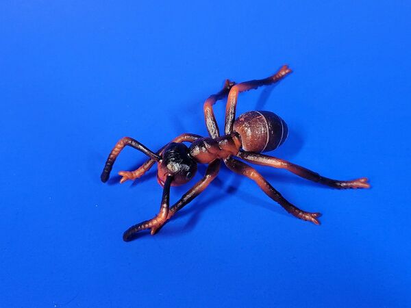 Toymany-ant-pg.jpg
