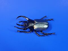 ToyMany Three-horned Rhinoceros Beetle