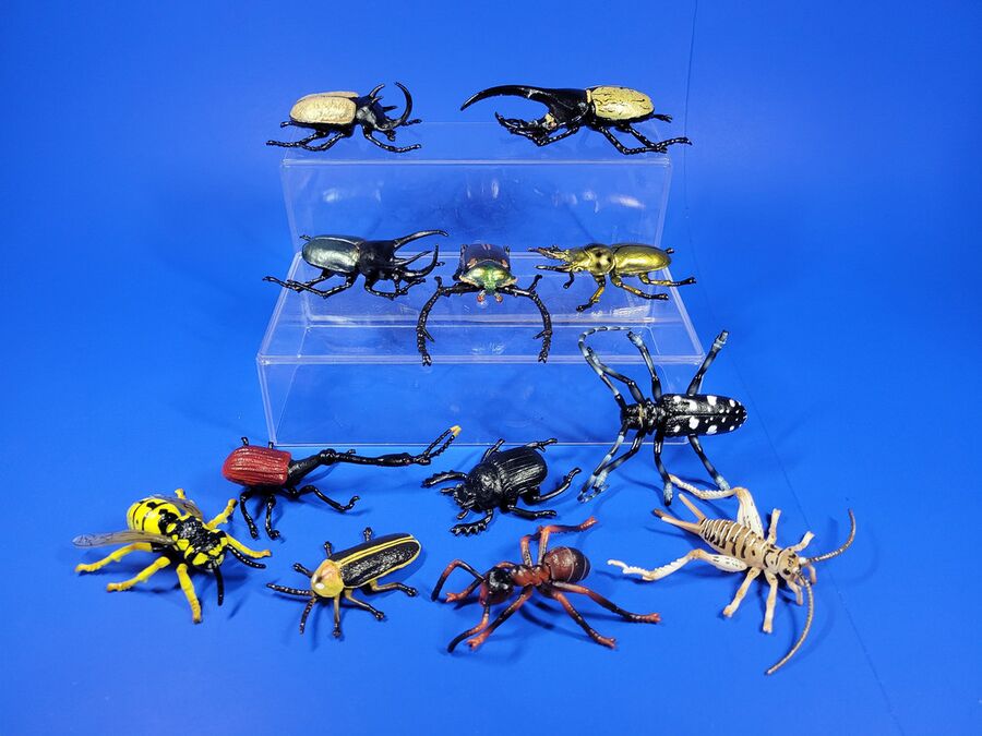 Toymany-beetles-pg.jpg