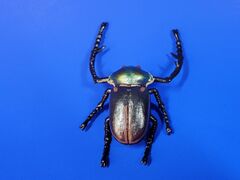 ToyMany Janson's Long-armed Scarab Beetle