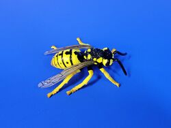 Wasp