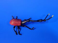ToyMany Giraffe Weevil