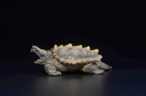 Toymany Mini North America Alligator snapping turtle 2.jpg