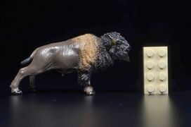 Toymany Mini North America American bison