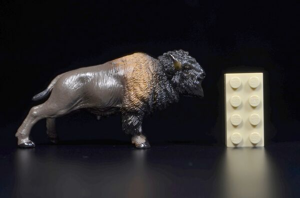 Toymany Mini North America American bison 1.jpg