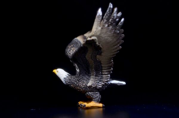 Toymany Mini North America Bald eagle 2.jpg