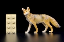 Toymany Mini North America Coyote