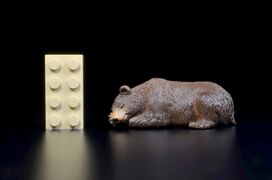 Toymany Mini North America Grizzly