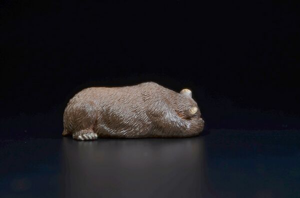 Toymany Mini North America Grizzly 2.jpg