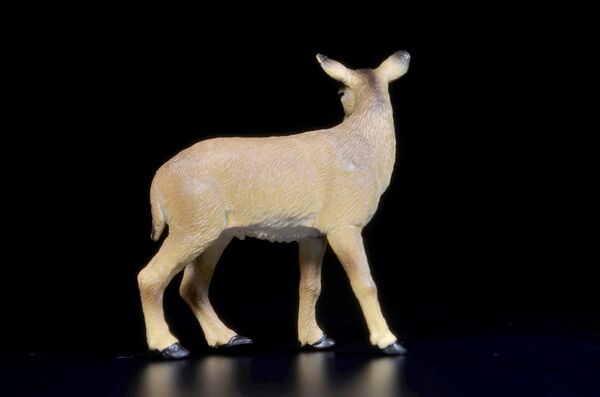 Toymany Mini North America Key deer 2.jpg