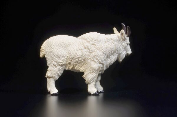Toymany Mini North America Mountain goat 2.jpg