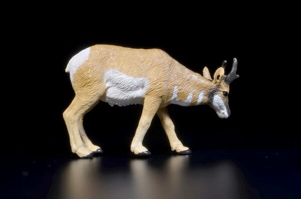Toymany Mini North America Pronghorn 2.jpg