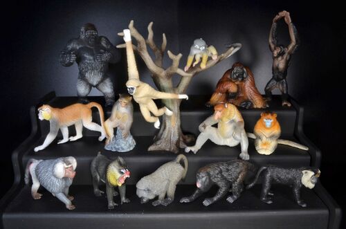 Toymany Primate Figurine Playset.jpg
