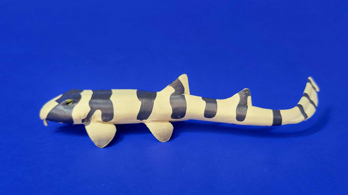Toymany Sharks Bamboo shark Toy Animal Wiki