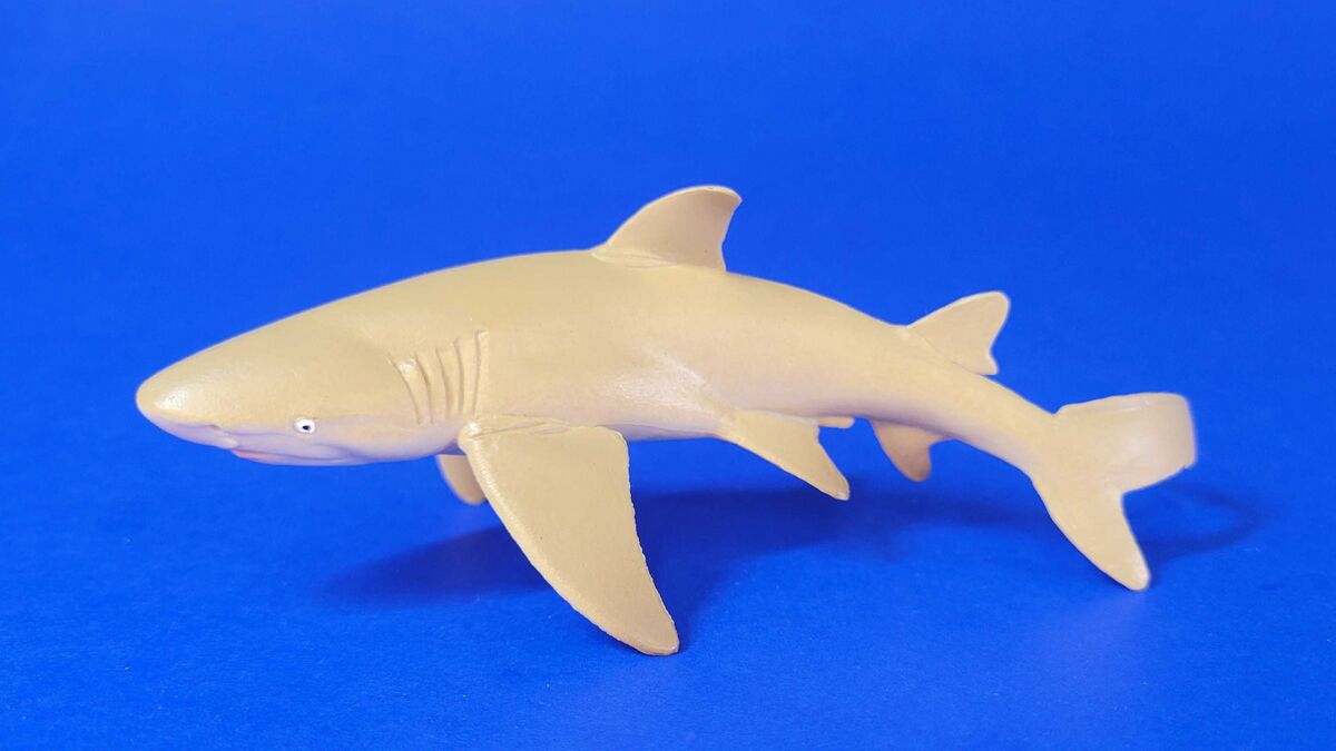 Toymany Sharks Lemon shark Toy Animal Wiki