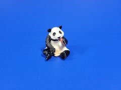 sitting Giant panda cub