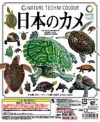 Turtles of Japan (10 models, May 2010)