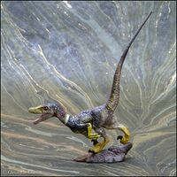 UHA Collect Club Velociraptor