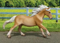 CollectA 80038 Haflinger Stallion