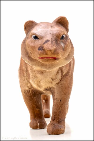 File:Veralith Tiger 4.jpg