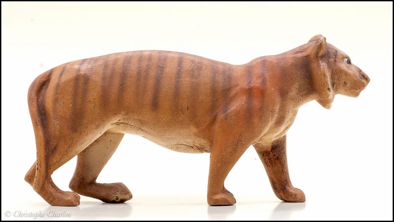 File:Veralith Tiger 6.jpg