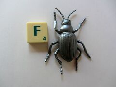 Wing Mau Fiery Searcher