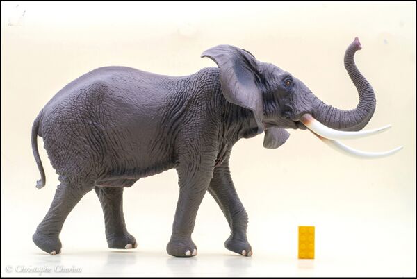 Yiniao Family Zoo Vinyl African elephant 1.jpg