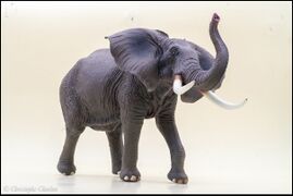 Yiniao Family Zoo Vinyl African elephant 3.jpg